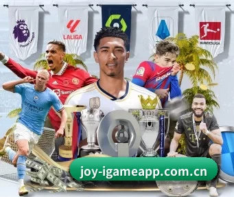 joy-igameapp.com.cn APP（AYX）
